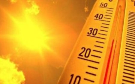 تزيد الشعور بحرارة الجو..