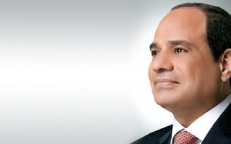 رئاسة الجمهورية: رفع العلاقات بين مصر والهند إلى مستوى الشراكة الاستراتيجية