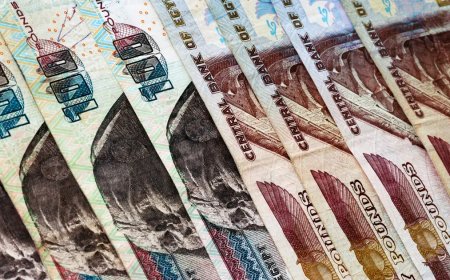 اشترى عقارات وسيارات.. موظف بنك يستولي على 70 مليون جنيه من أرصدة العملاء بمصر