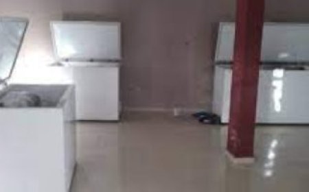 العثور على أشلاء 13 جثة فى ثلاجات خلال مطاردة تشكيل عصابى فى المكسيك