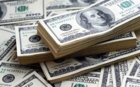 سعر الدولار اليوم الاثنين 12-2-2024 أمام الجنيه بالبنوك المصرية