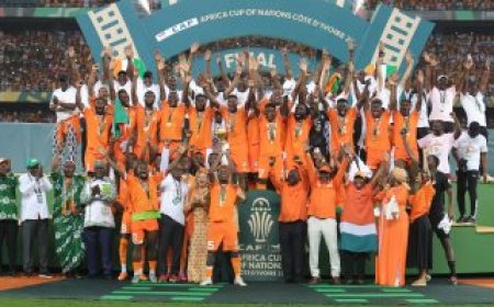 معجزة الأفيال..