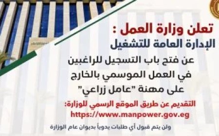 وزارة العمل تعلن فتح باب التسجيل على فرص عمل فى الخارج للشباب