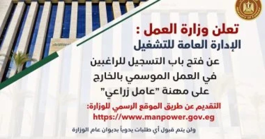 وزارة العمل تعلن فتح باب التسجيل على فرص عمل فى الخارج للشباب