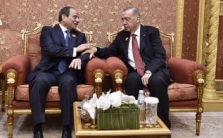 مصر وتركيا.. 5 أرقام ترسم ملامح شراكة اقتصادية شاملة وفرص واعدة "إنفوجراف"