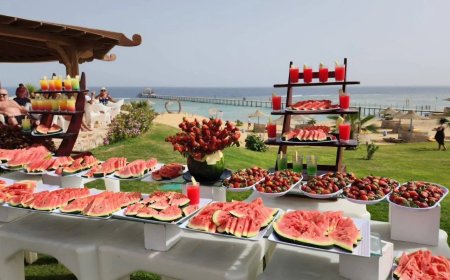 أجواء الشتاء تنعش فنادق الغردقة.. مهرجانات الفواكه الشتوية تجذب السياح الأوروبيين على شواطئ البحر الأحمر.. رواج كبير للرحلات والألعاب البحرية والاستمتاع بالطقس الدافئ.. وإقبال على زيارة الجزر