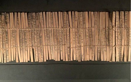 نصوص من الخيزران عمرها 2000 عام تكشف عن أقدم الكتابات الصينية عن الخيول