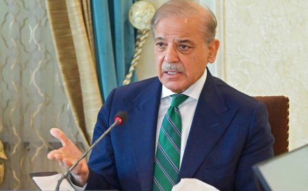 رئيس وزراء باكستان: مجلس الوزراء وافق على الانضمام لمجلس السلام بشأن غزة