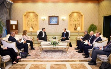 وزير الخارجية يستقبل نائب وزير الخارجية الأمريكى لبحث الشراكة الاستراتيجية