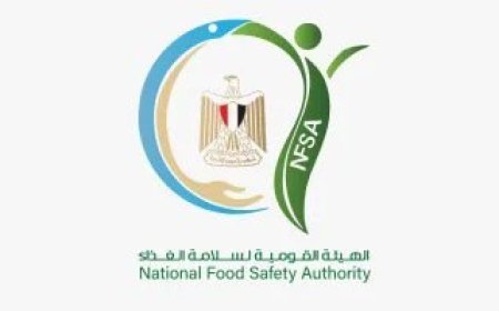 الهيئة القومية لسلامة الغذاء: تصدير 210 آلاف طن خلال أسبوع