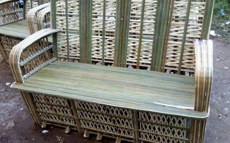 مصر تطلق «ثورة الجريد»: 16 مليون نخلة تكسر قيد استيراد الأخشاب بمليار دولار سنوياً.. من قرى الدلتا إلى قصور أوروبا.. "الكنز المهدر" يتحول لأثاث فاخر وخشب وأرضيات بيئية بصناعة وطنية توفر العملة وبدون انبعاثات