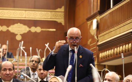 النائب حازم الجندى: الجامعات المتخصصة ركيزة لتحويل التعليم إلى محرك إنتاجى-تحيا مصر - Tahya Misir