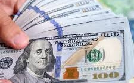 سعر الدولار تحت سقف الـ48 جنيها فى السوق المصرية-تحيا مصر - Tahya Misir