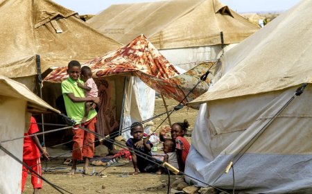 انهيار قطاع التعليم فى السودان.. يونسيف: الحرب حرمت 8 ملايين طفل من حقهم فى التعليم.. إغلاق نحو 6400 مدرسة بالكامل.. 11% من المدارس تحولت لملاجئ للنازحين هربا من العنف.. وهروب المعلمين ونقص الكتب فاقم الأزمة