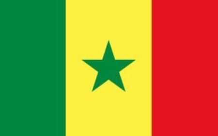 السنغال تطلق مشروعًا للاتصال الشامل بالإنترنت