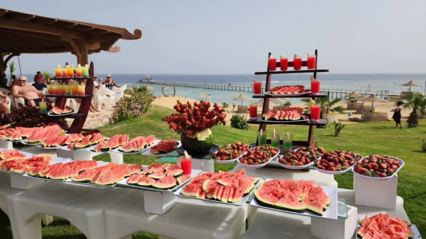 أجواء الشتاء تنعش فنادق الغردقة.. مهرجانات الفواكه الشتوية تجذب السياح الأوروبيين على شواطئ البحر الأحمر.. رواج كبير للرحلات والألعاب البحرية والاستمتاع بالطقس الدافئ.. وإقبال على زيارة الجزر
