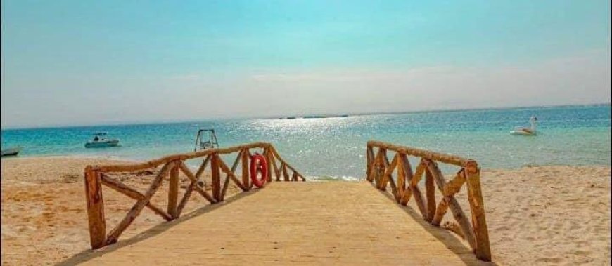 «مجاويش» إحدى أجمل الجزر البحرية بالبحر الأحمر.. تنفرد بسحر فريد لشواطئها الساحرة وتضم مياه فيروزية ورملية.. تحيط بها شعاب مرجانية وتأوى كائنات بحرية نادرة.. ويزورها يوميًا مئات السياح من مختلف دول العالم.