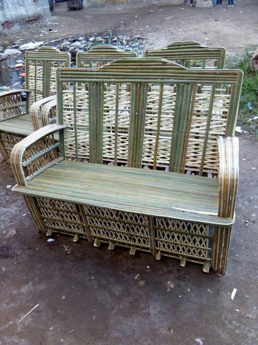 مصر تطلق «ثورة الجريد»: 16 مليون نخلة تكسر قيد استيراد الأخشاب بمليار دولار سنوياً.. من قرى الدلتا إلى قصور أوروبا.. "الكنز المهدر" يتحول لأثاث فاخر وخشب وأرضيات بيئية بصناعة وطنية توفر العملة وبدون انبعاثات