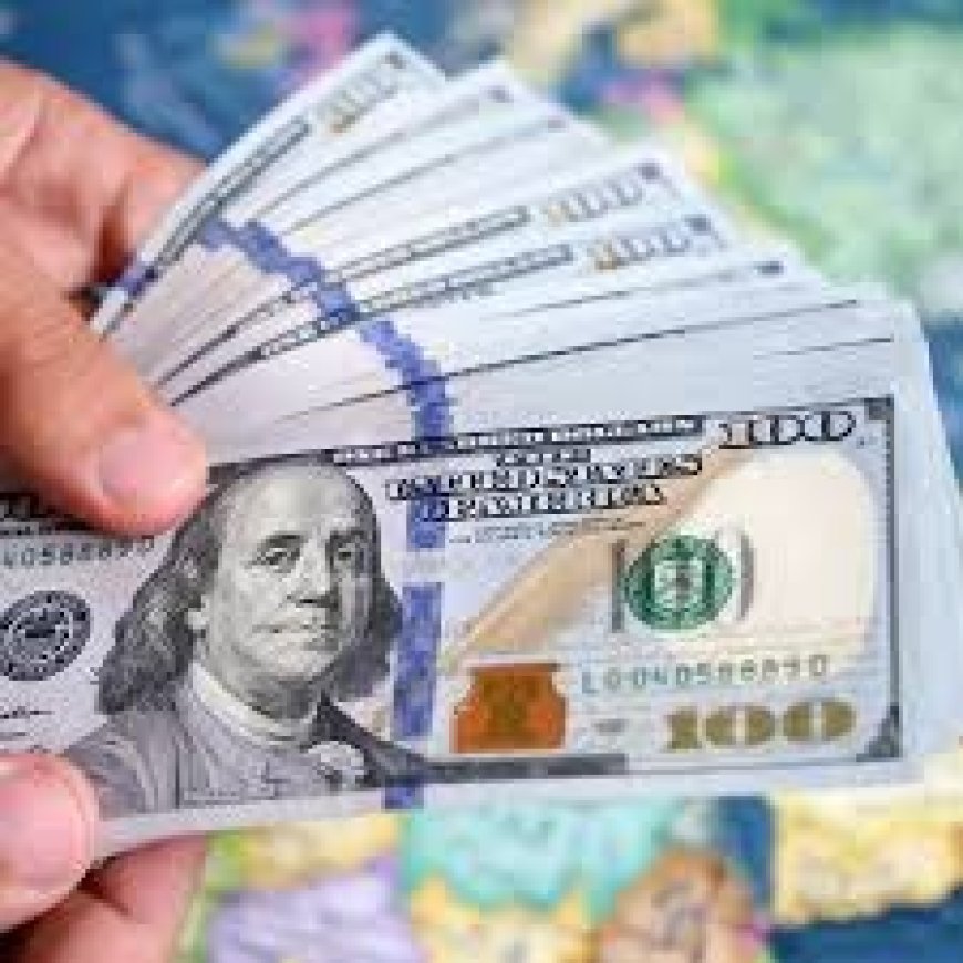 سعر الدولار تحت سقف الـ48 جنيها فى السوق المصرية-تحيا مصر - Tahya Misir