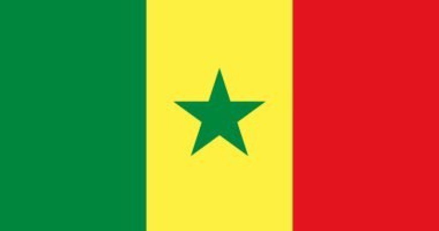 السنغال تطلق مشروعًا للاتصال الشامل بالإنترنت